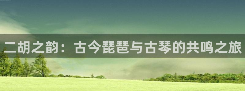 凯发娱乐k8下载:二胡之韵:古今琵琶与古琴的共鸣之旅